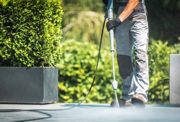 Best Roof Washing  in Tuckerton, NJ